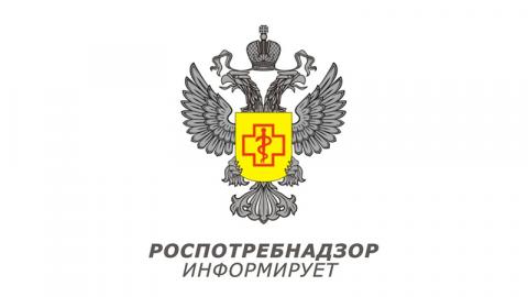 ЧТО ТАКОЕ МЕТАПНЕВМОВИРУС?       